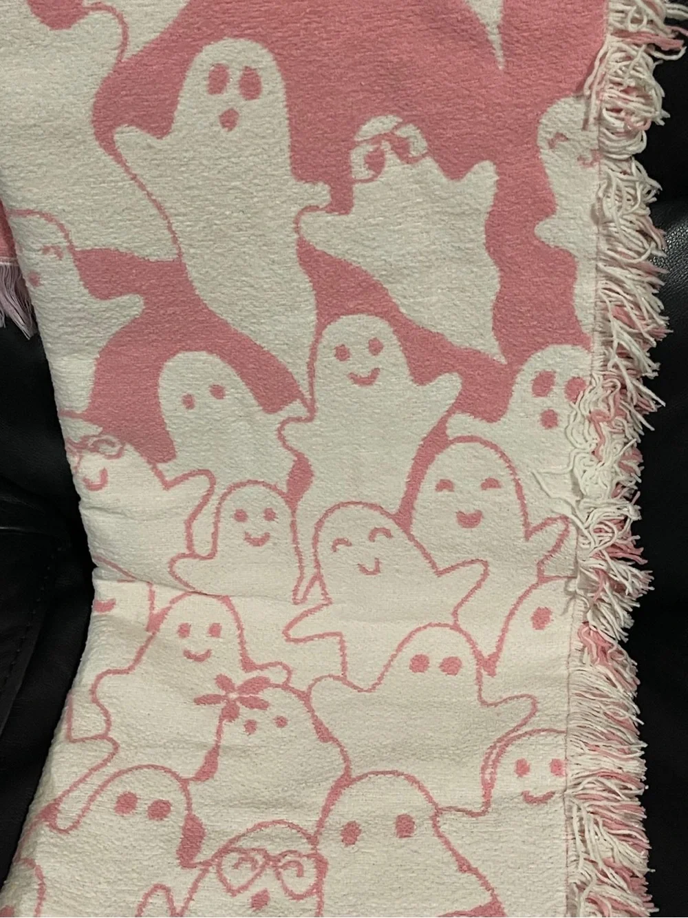Halloween Cupcakes and Cashmere Where is the Ghost Chenille Throw